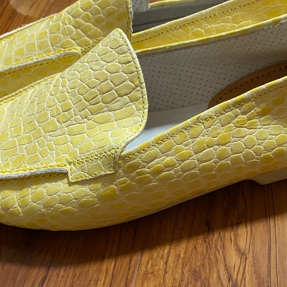 Yellow flat - Picture 8 of 8